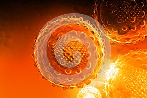Hepatitis virus