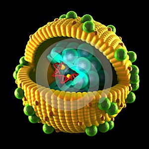 Hepatitis Virus Cell - isolated on black