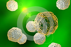 Hepatitis A virus, illustration