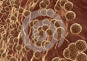 Hepatitis virus microscop view