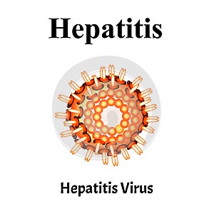 Hepatitis virus structure. Viral infection Hepatitis. Sexually transmitted diseases. Infographics. Vector illustration