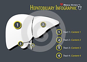 Hepatobiliary Infographic . Flat design .