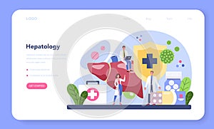 Hepatologist web banner or landing page. Doctor make ultrasound