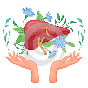 Hepatology, liver health care and detox, hands holding human organ among flowers