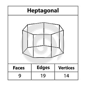 Heptagonal, faces, edges, vertices. shapes, vertices. math teaching illustration. photo