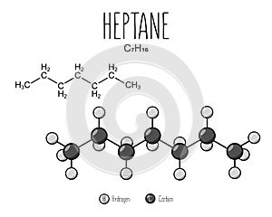 Heptane Skeletal Structure and Flat Model Representation