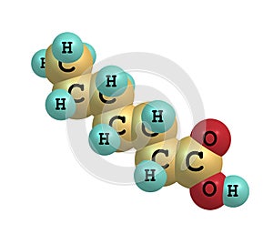 Heptanoic (enanthic) acid molecule on white