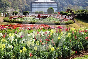 Her Majesty Queen Sirikit Botanical Garden