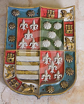 Heraldic Coat of Arms in the Cathedral of Salamanca photo