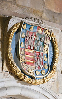 Heraldic Coat of Arms in the Cathedral of Salamanca photo