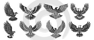 Heraldic eagle labels. Black flat eagle tattoos emblems, falcon with wings silhouette patriotic symbols