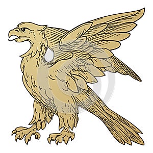 Heraldic Griffin