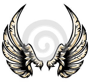 Heraldic wings with feathers - hand drawn - vector illustration
