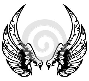 Heraldic wings with feathers - hand drawn - vector illustration - Out line