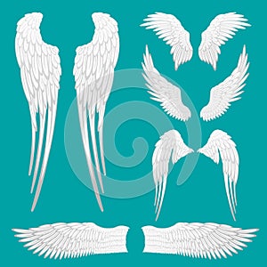 Heraldic Wings Set for Tattoo or Mascot Design