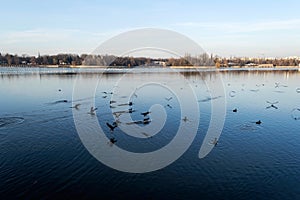 Herastrau lake, Bucharest, Romania