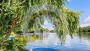 Herastrau Lake landscape Bucuresti Romania - willow  on the lake shore