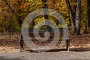 Herastrau Park Bench in the Fall