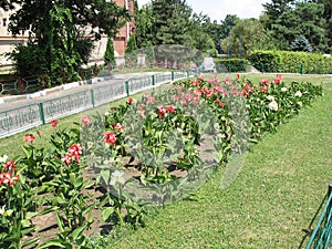 Herastrau park in bucharest 1