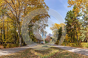 Herastrau Park and Column Monument in the Fall