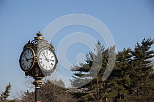 Herastrau public clock
