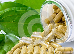 Herb capsules, kariyat, the creat spilling out of bottle on green table