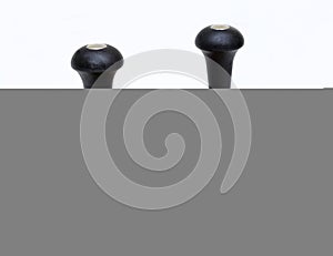 Herb chopper and basil.