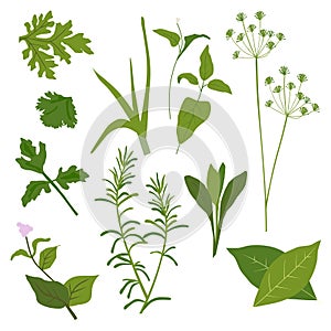 Herb Collection