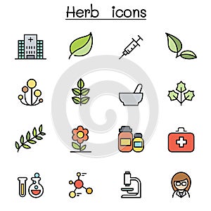 Herb color line icon set