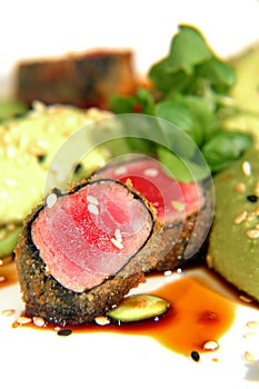 Herb encrusted ahi tuna (close up)