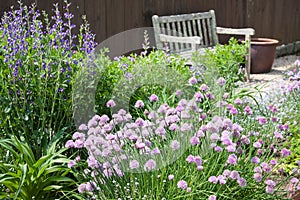 Herb Garden