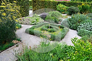Herb garden photo