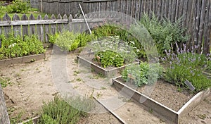 Herb garden in the country