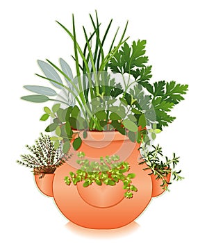 Herb Garden in Old Fashioned Strawberry Jar