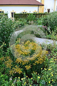 Herb garden in Schlosshof garden professionally planted with groups of herbs and perennials