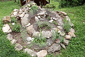 Herb garden spiral