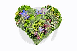 Herb heart