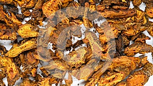 Herb HuangLianPian or Coptidis Rhizoma or Chinese Goldthread Rhizome Slices rotating