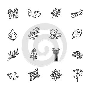 Herb icon Vector Illustration line Icons