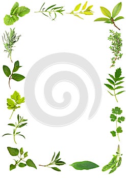 Herb Leaf Beauty