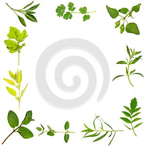 Herb Leaf Border