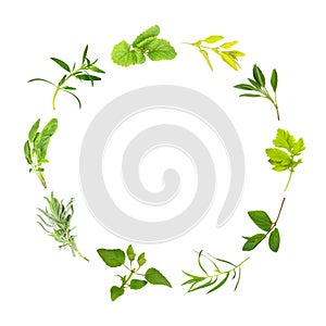 Herb Leaf Circle