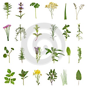 Herb Leaf and Flower Collection