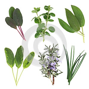 Herb Leaf Selection