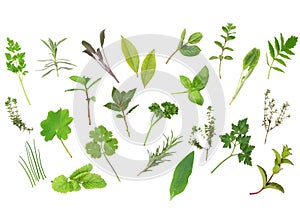 Herb Leaf Selection