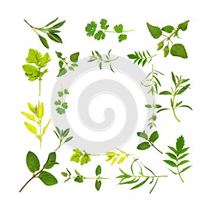 Herb Leaf Selection