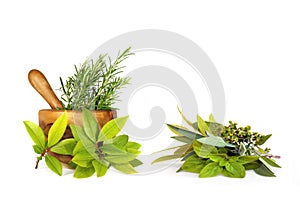 Herb Leaf Selection