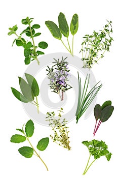 Herb Leaf Variety