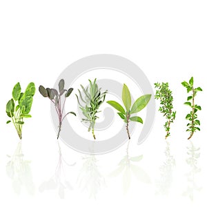 Herb Leaves