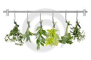 Herb Leaves Drying